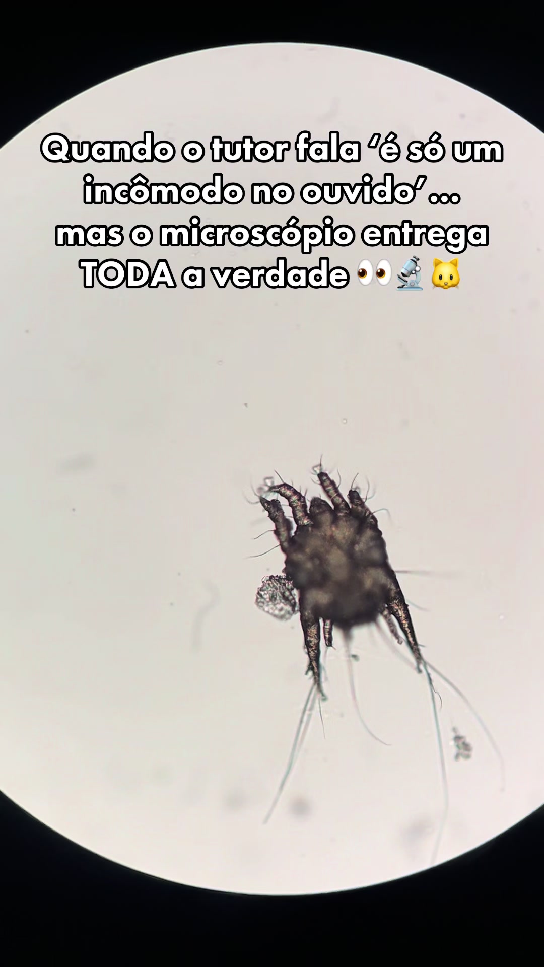 @Maria Vitória ( Mavi)
