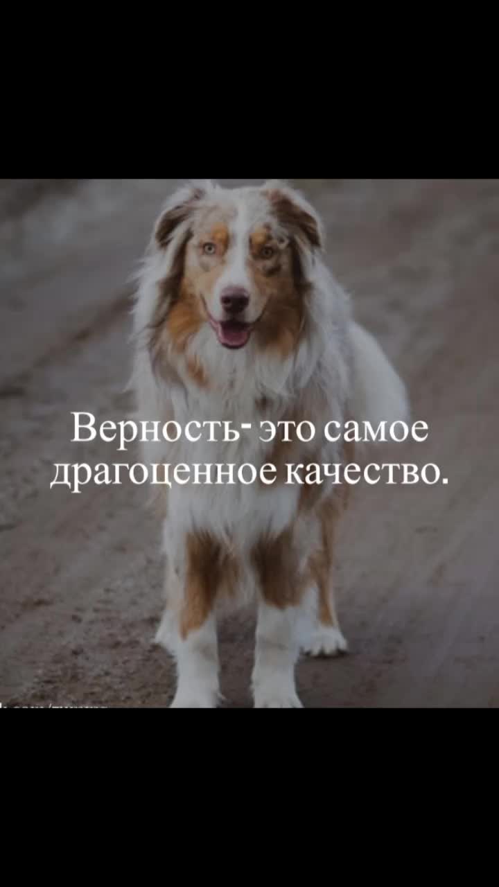 @муха зелëная777