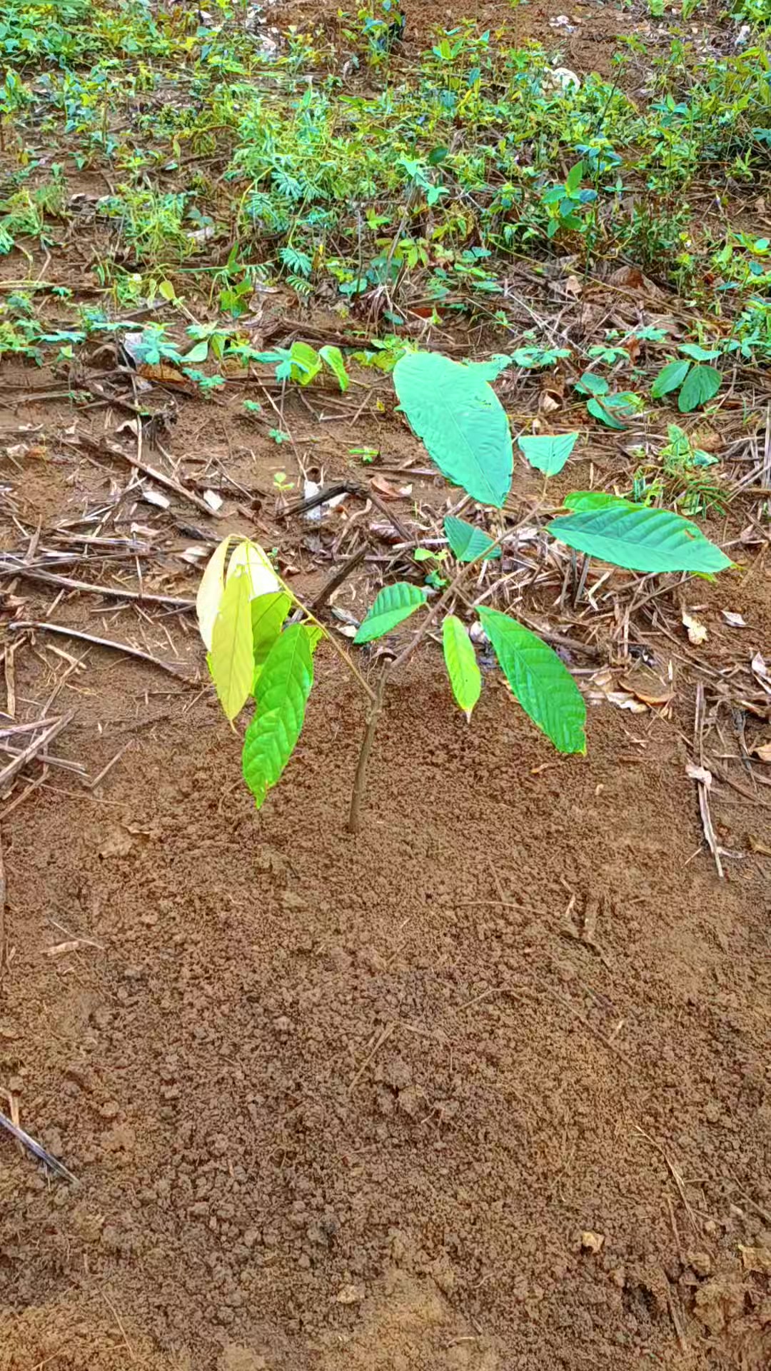 @𝗬𝘂𝘀𝘂𝗳 𝗟𝗮𝘁𝗶𝗲𝗳