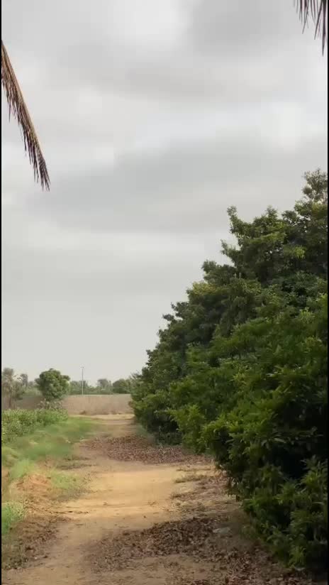@❤پالاریF❤