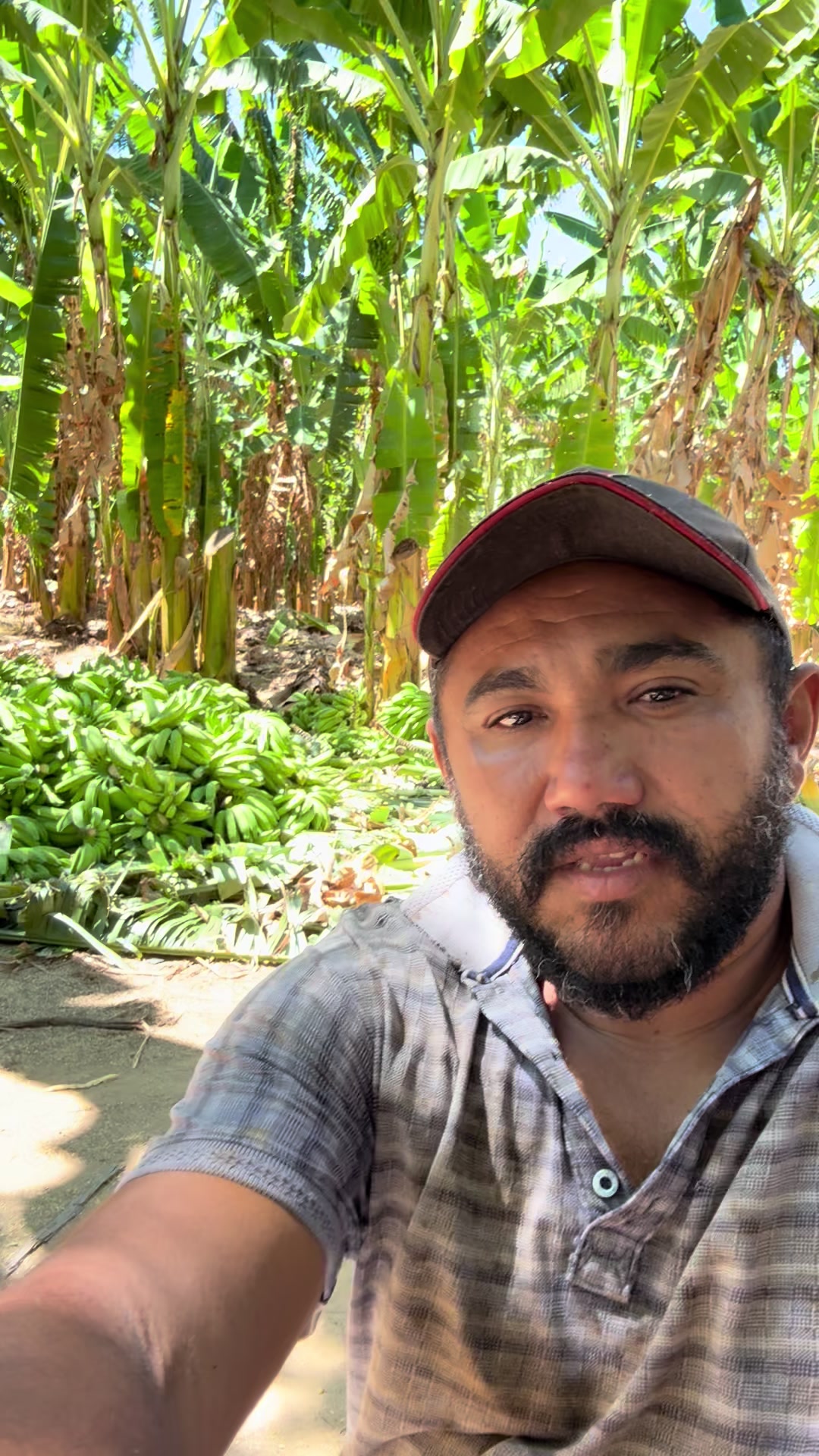 @Cícero Maicon Lopes
