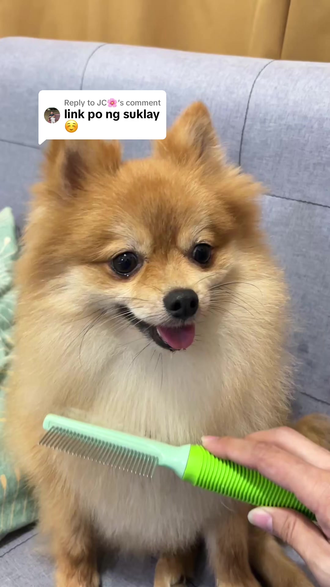 @IG: @mainevillanueva ๐งฟ๐