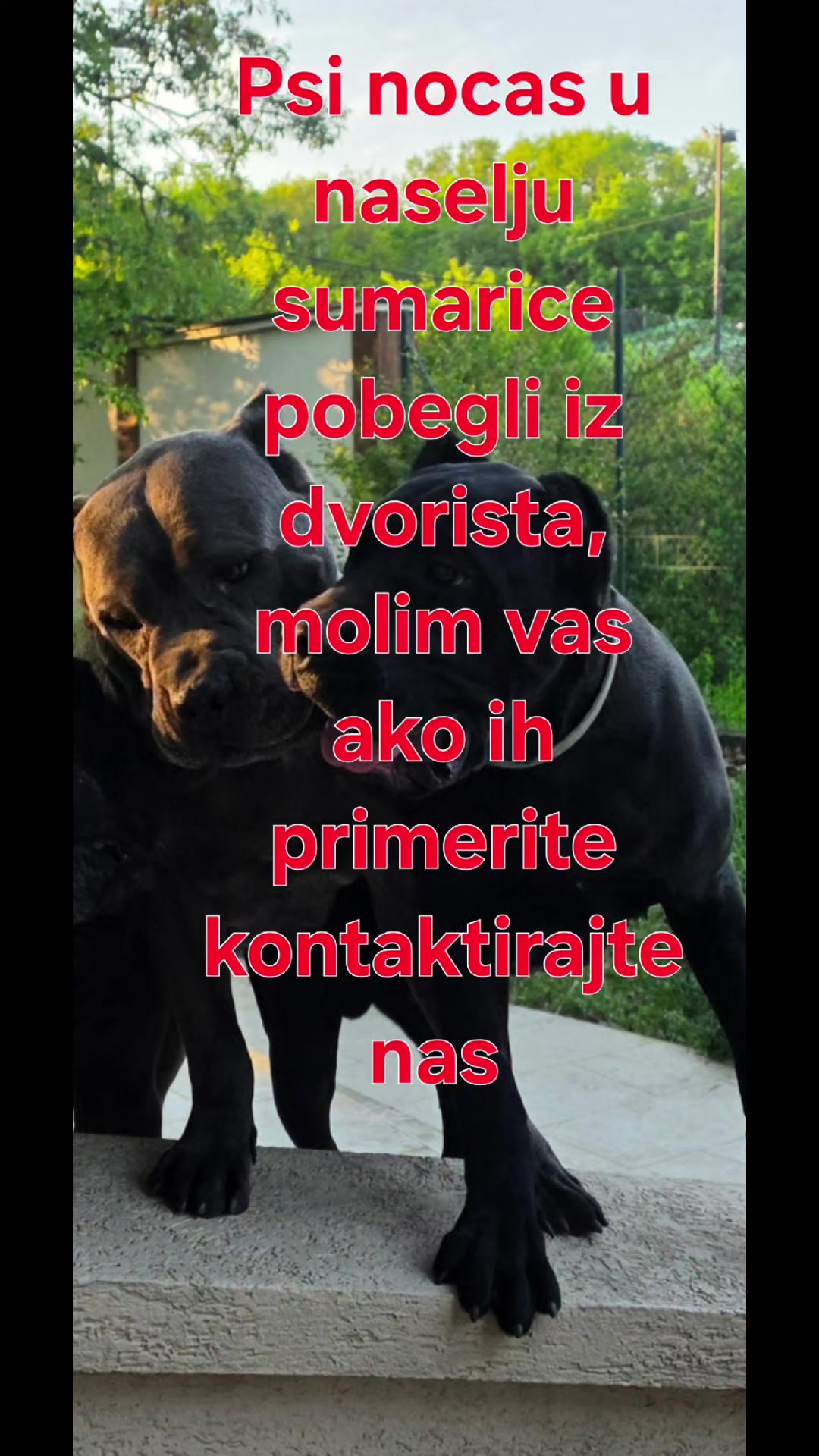 @vmkg