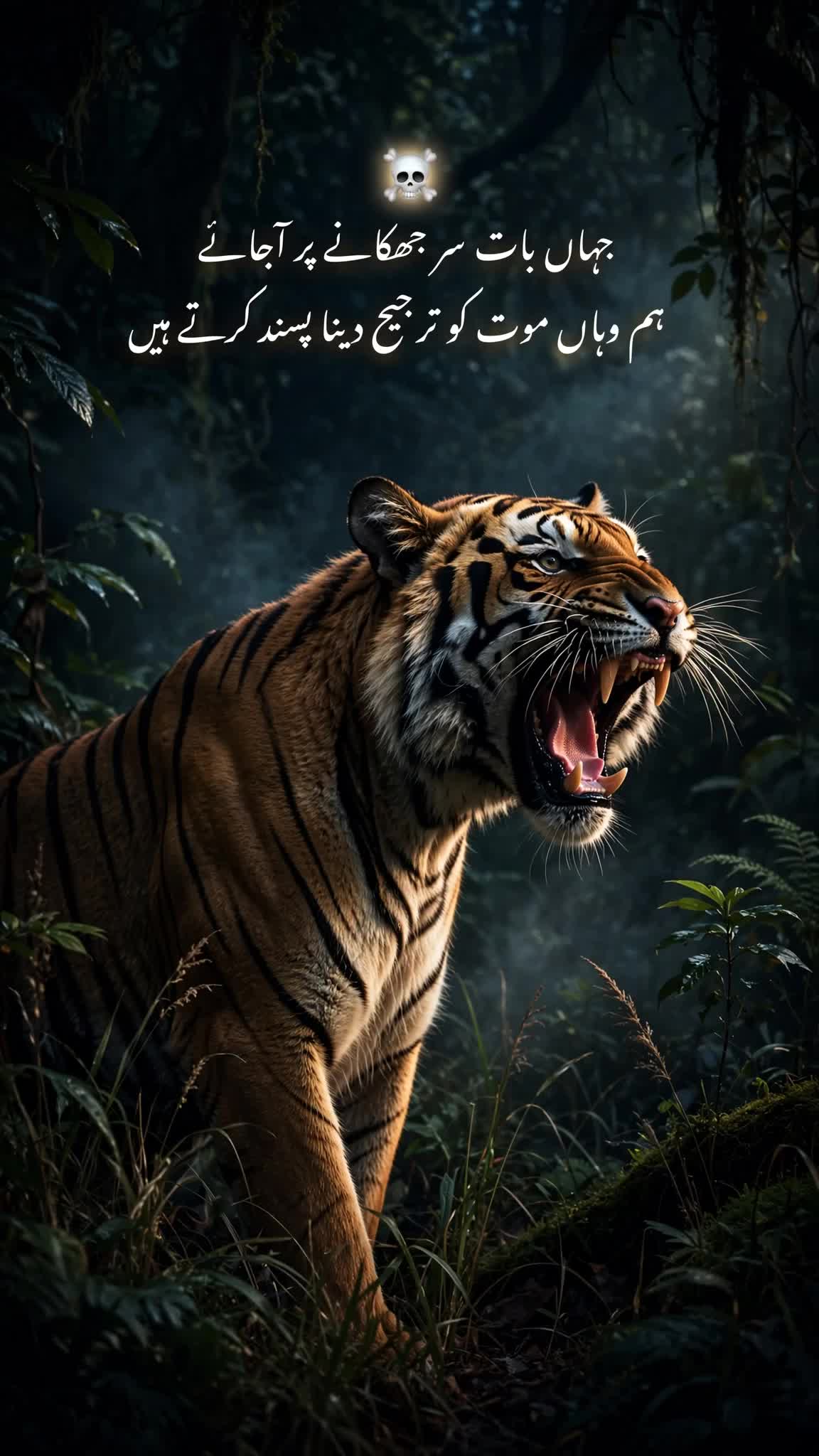 @Syed 804
