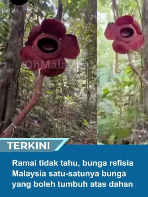 @Oh Malaysia Media