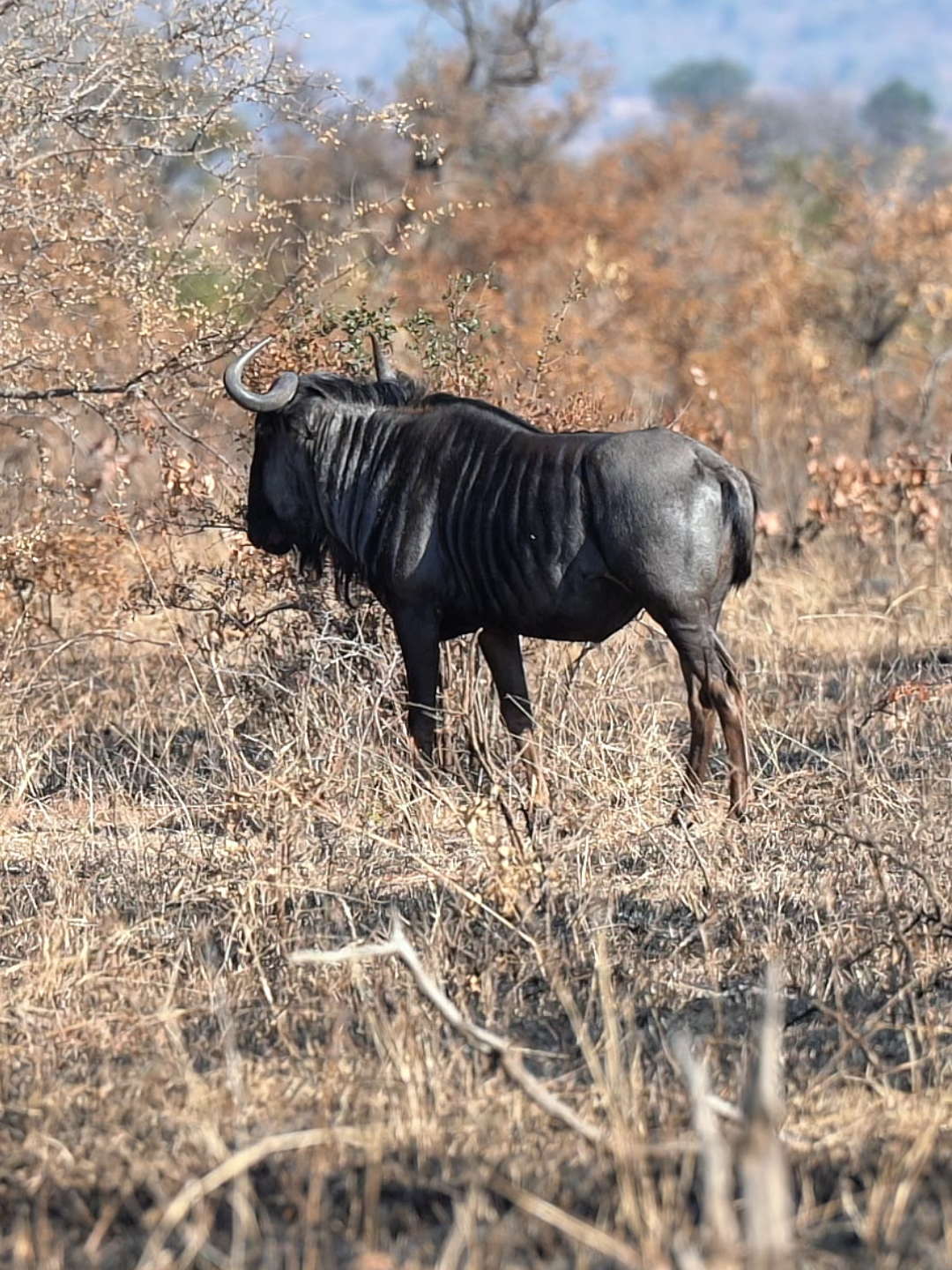 @Madbookings Travel Namibia