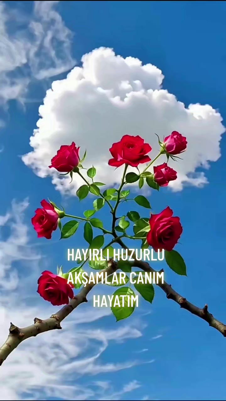 @Hasan Yılmaz