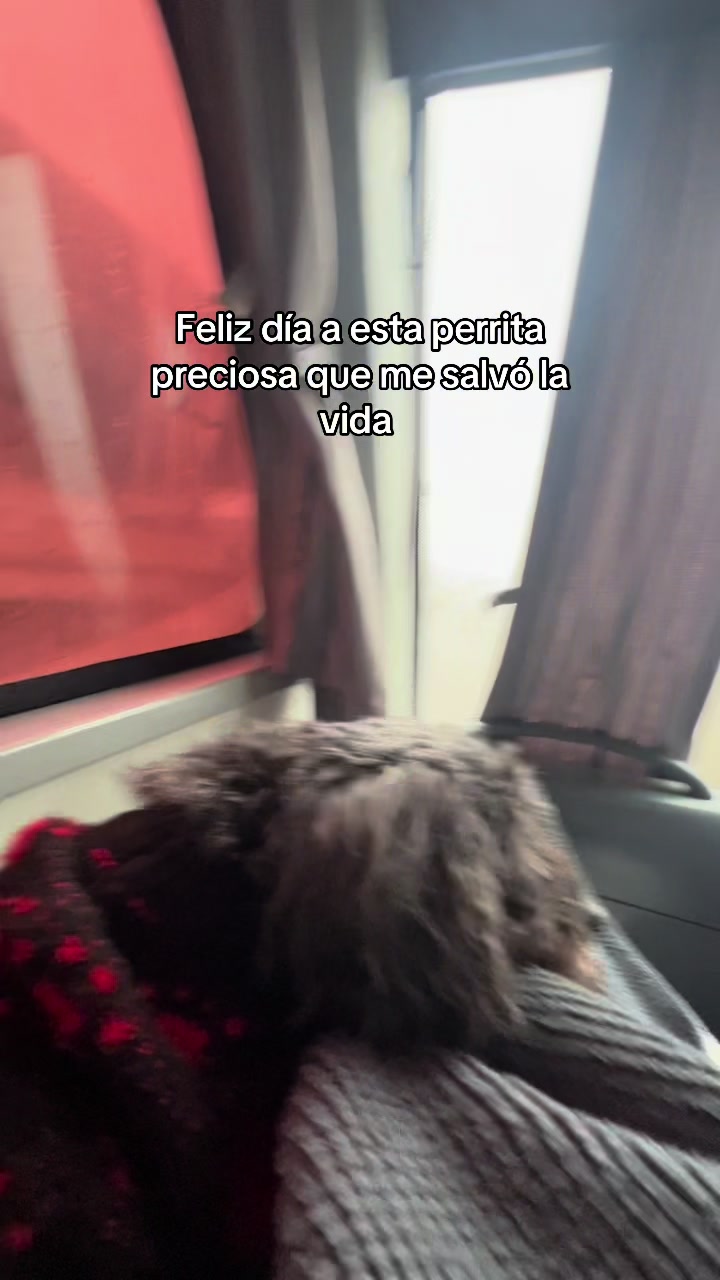 @DINDI JANE