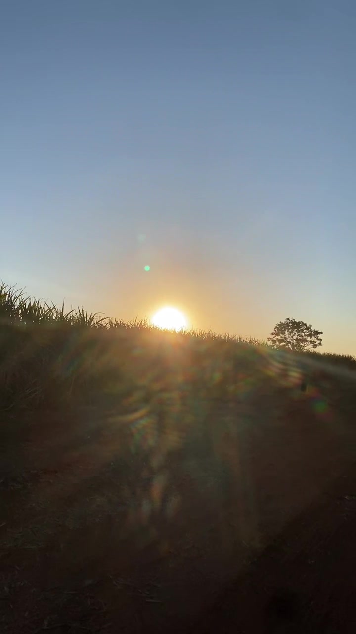 @ÍNDIO DO AGRO 🚜🌱