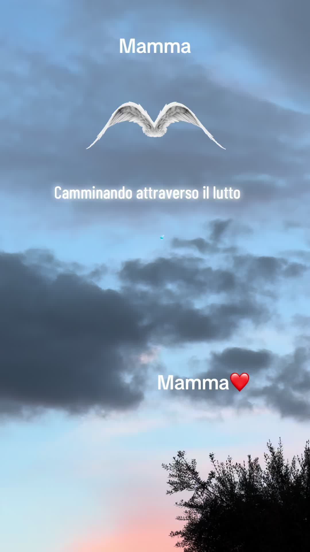 @annacuorvo877