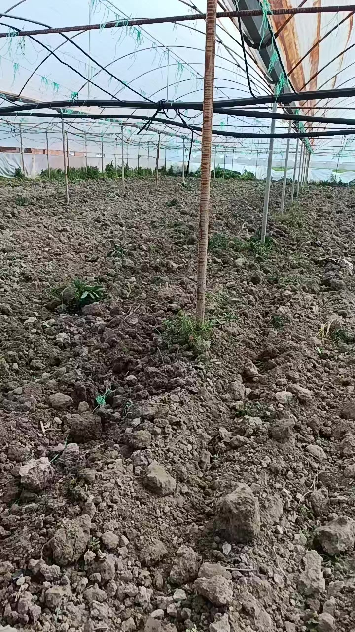 @Nazif Geriş