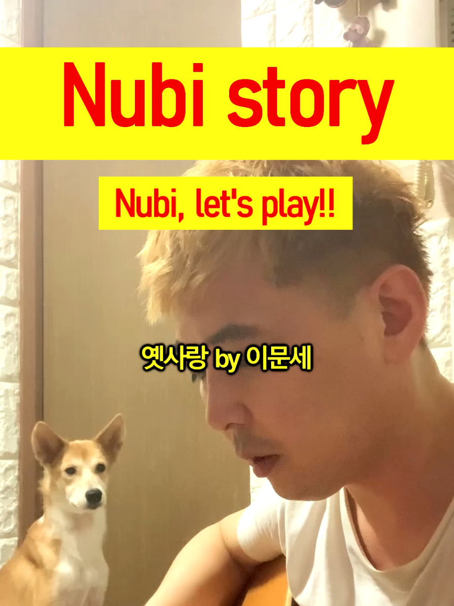 @누비★스토리 Nubi story
