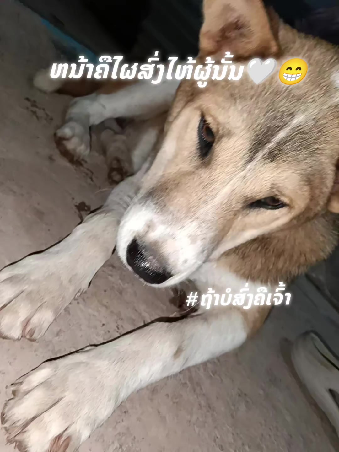@👹อะไรเหอะ🫷