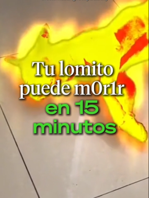 @Ahora Entiendo