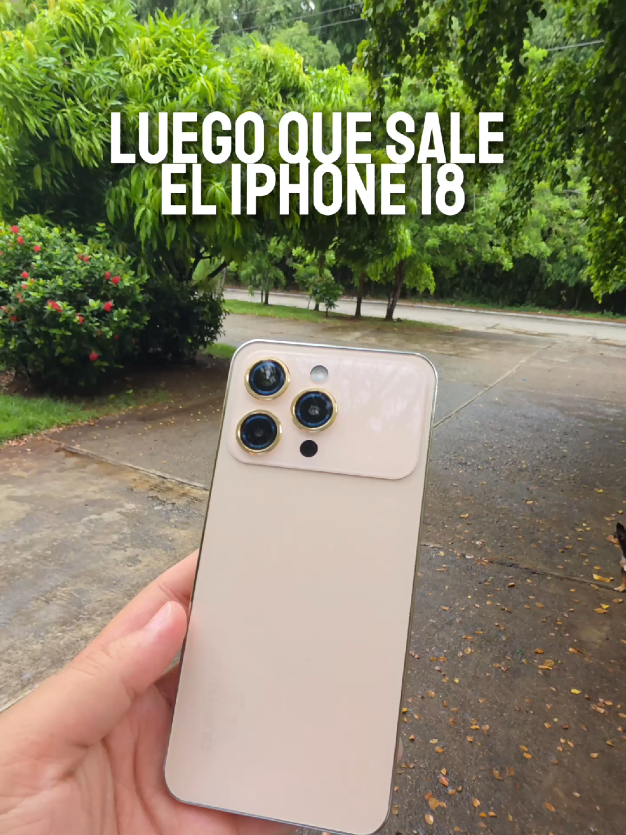 @Dario Tips