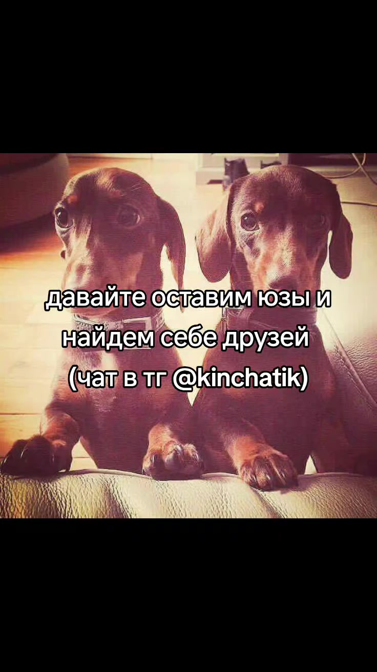 @cqtagger