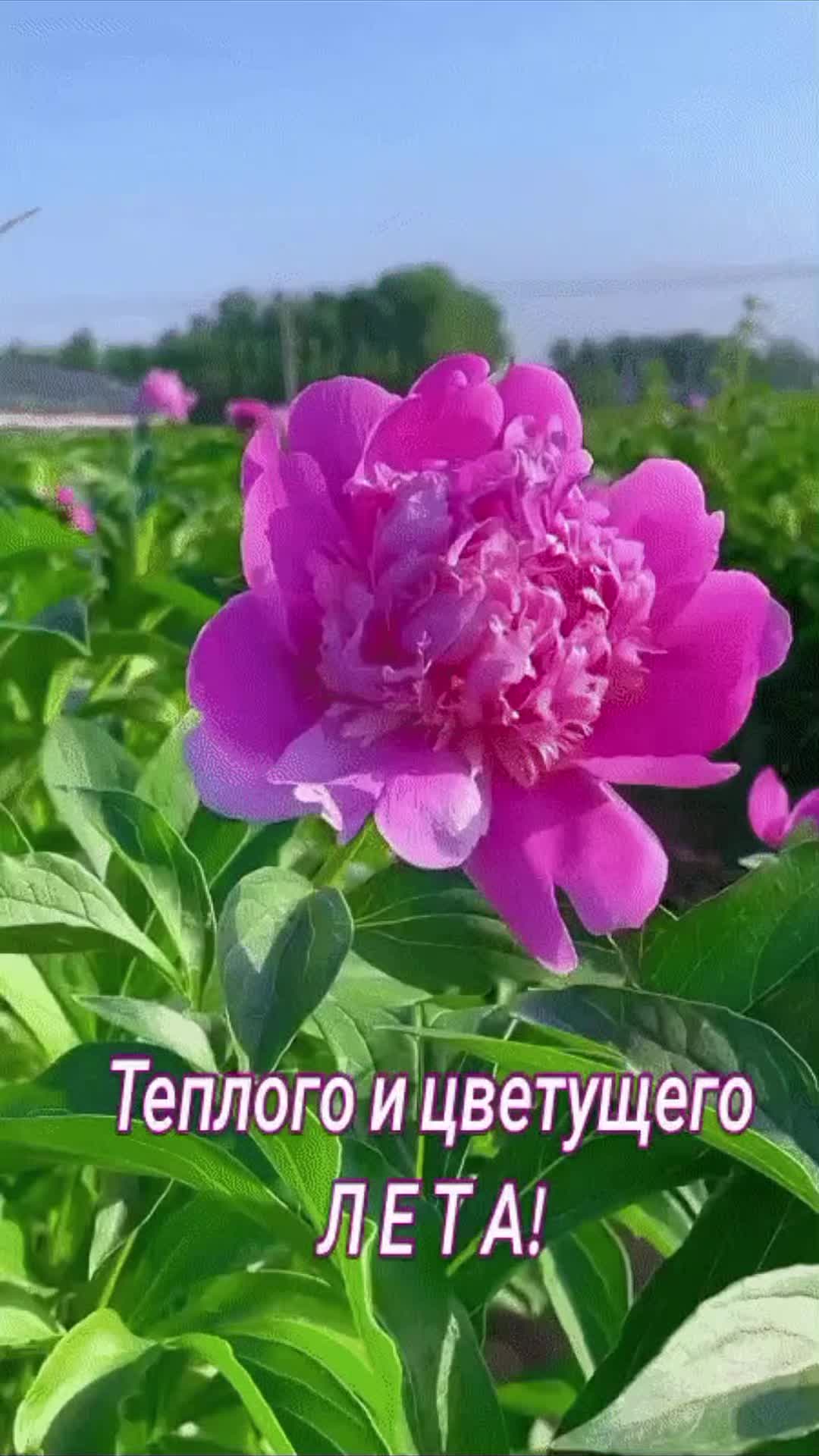 @user1675550211969