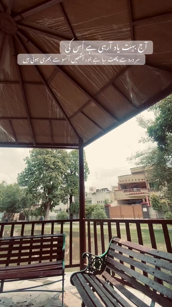 @🕊️