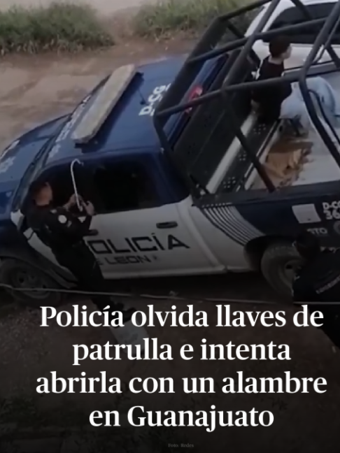 @DiariodeMéxico