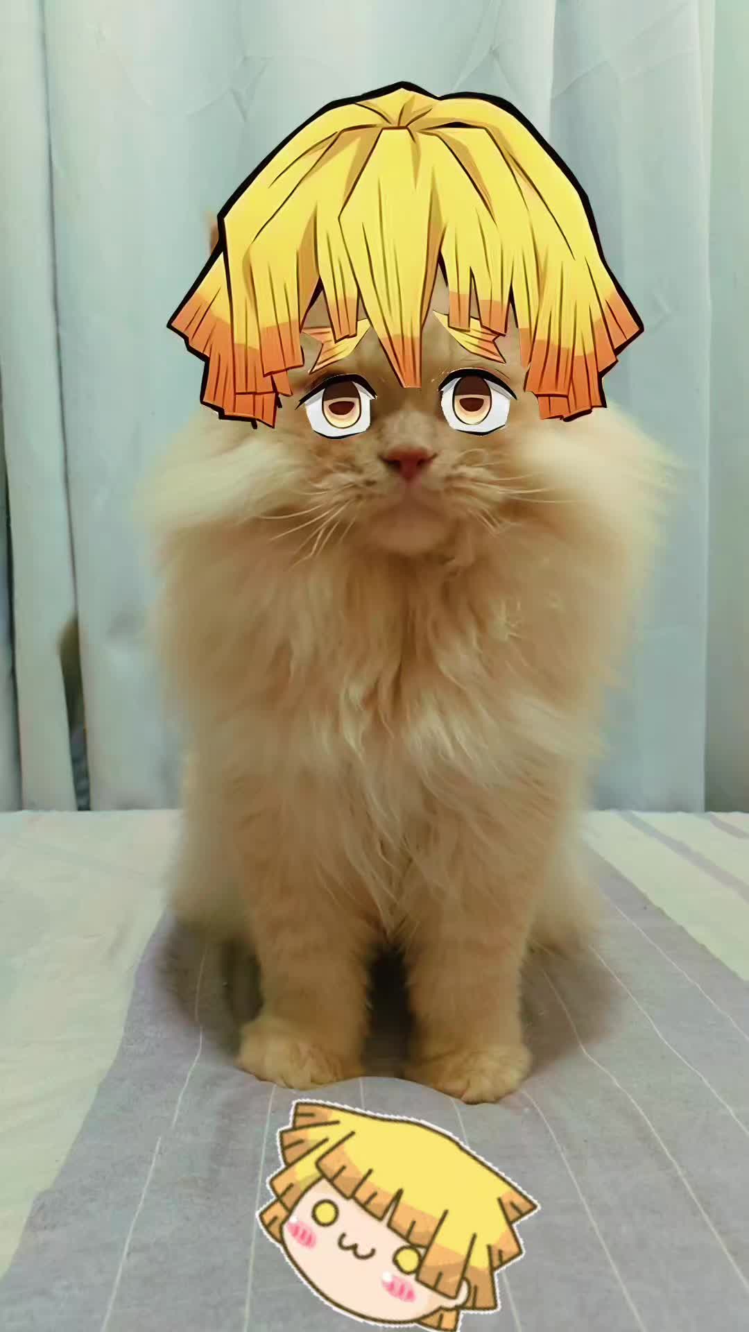@Leo_and_Chase