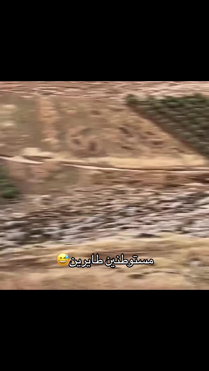 @غليص دواس الظلمة الصقر الحر🦅