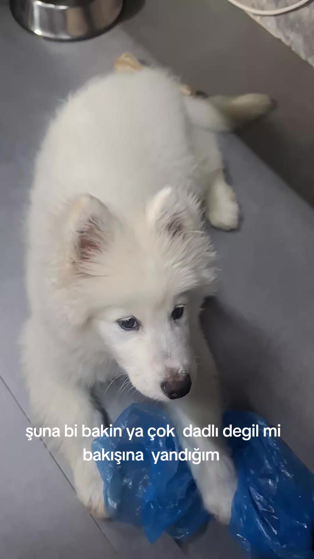 @semratekin 20