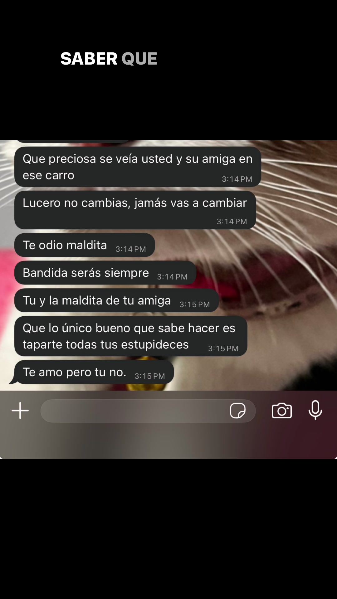 @la pequeña lulu!
