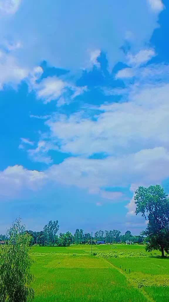 @S  🥰❤️🌹 R