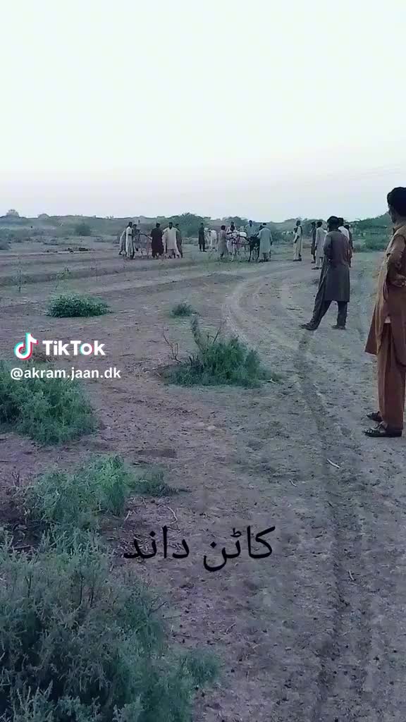 @دلیپ چوٹان