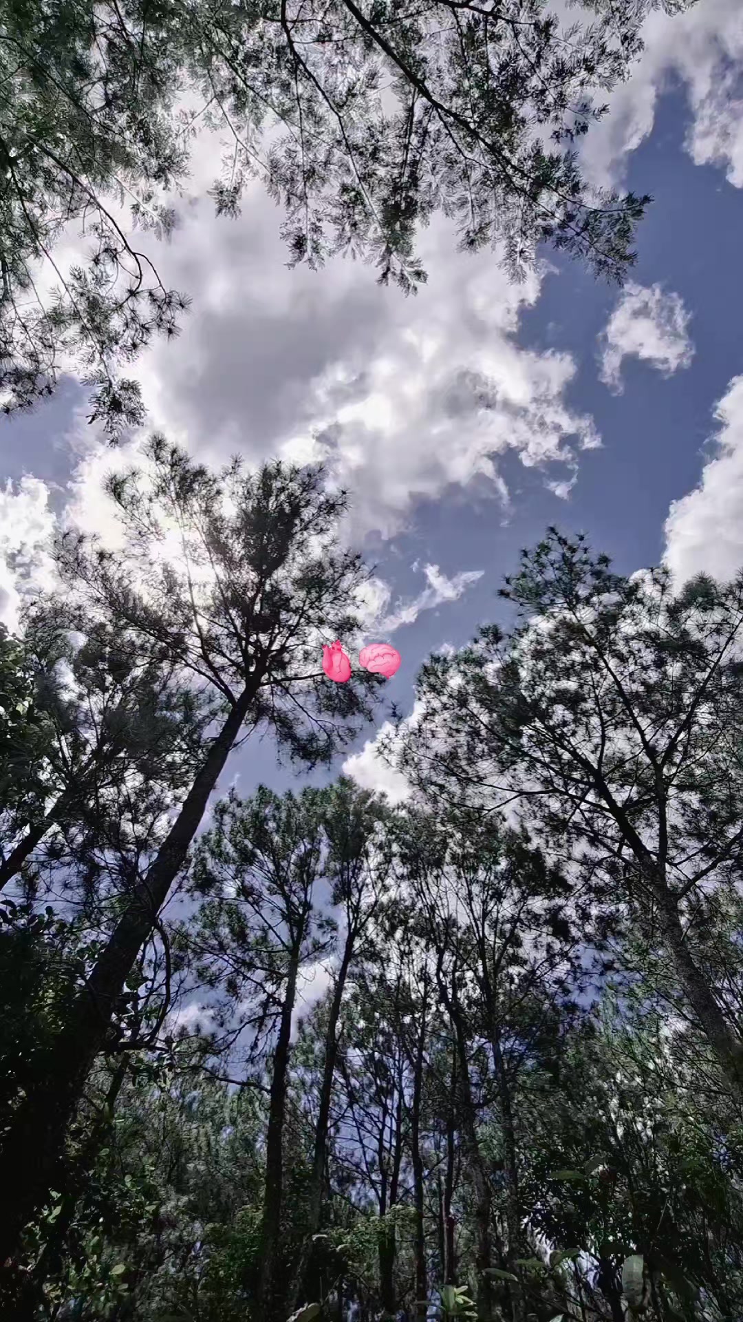 @ans_AFY11