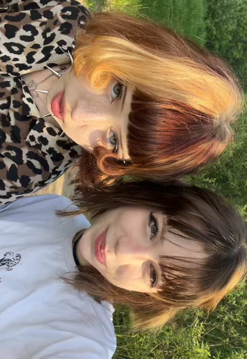 @🕷