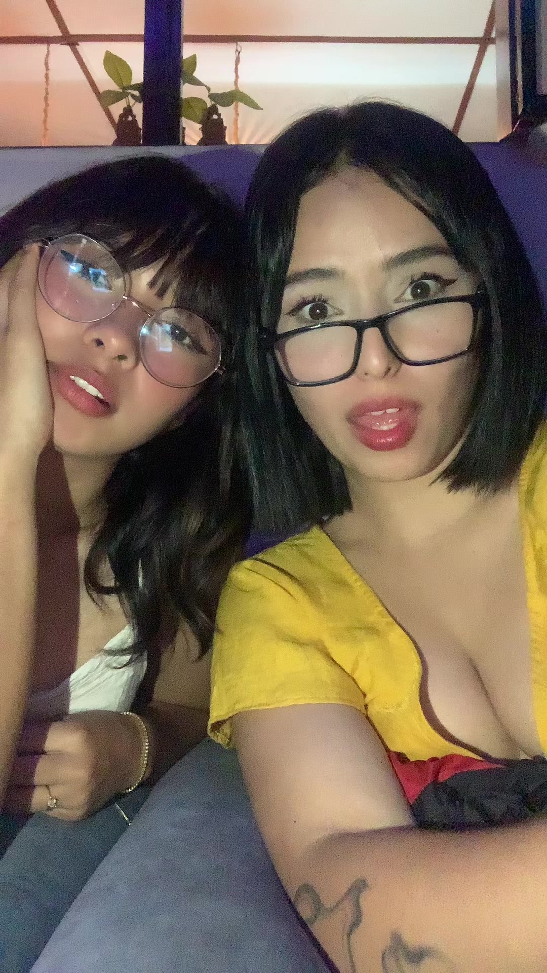 @pollita
