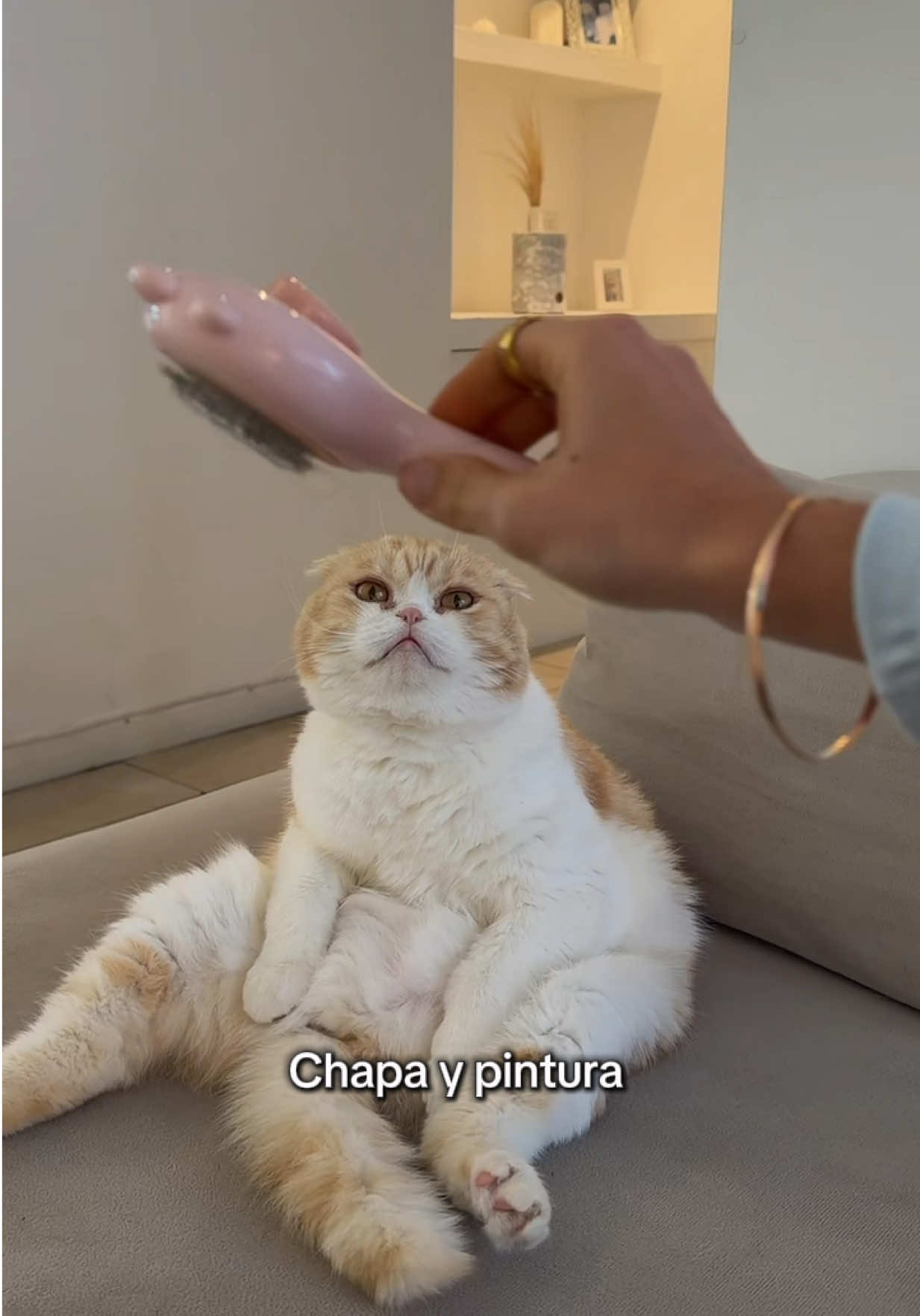 @María Clara