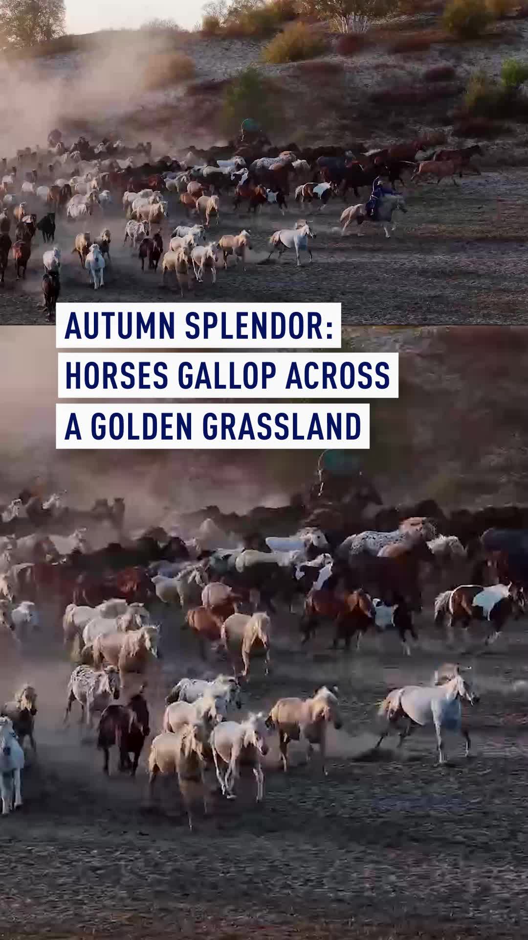 @CGTN Europe