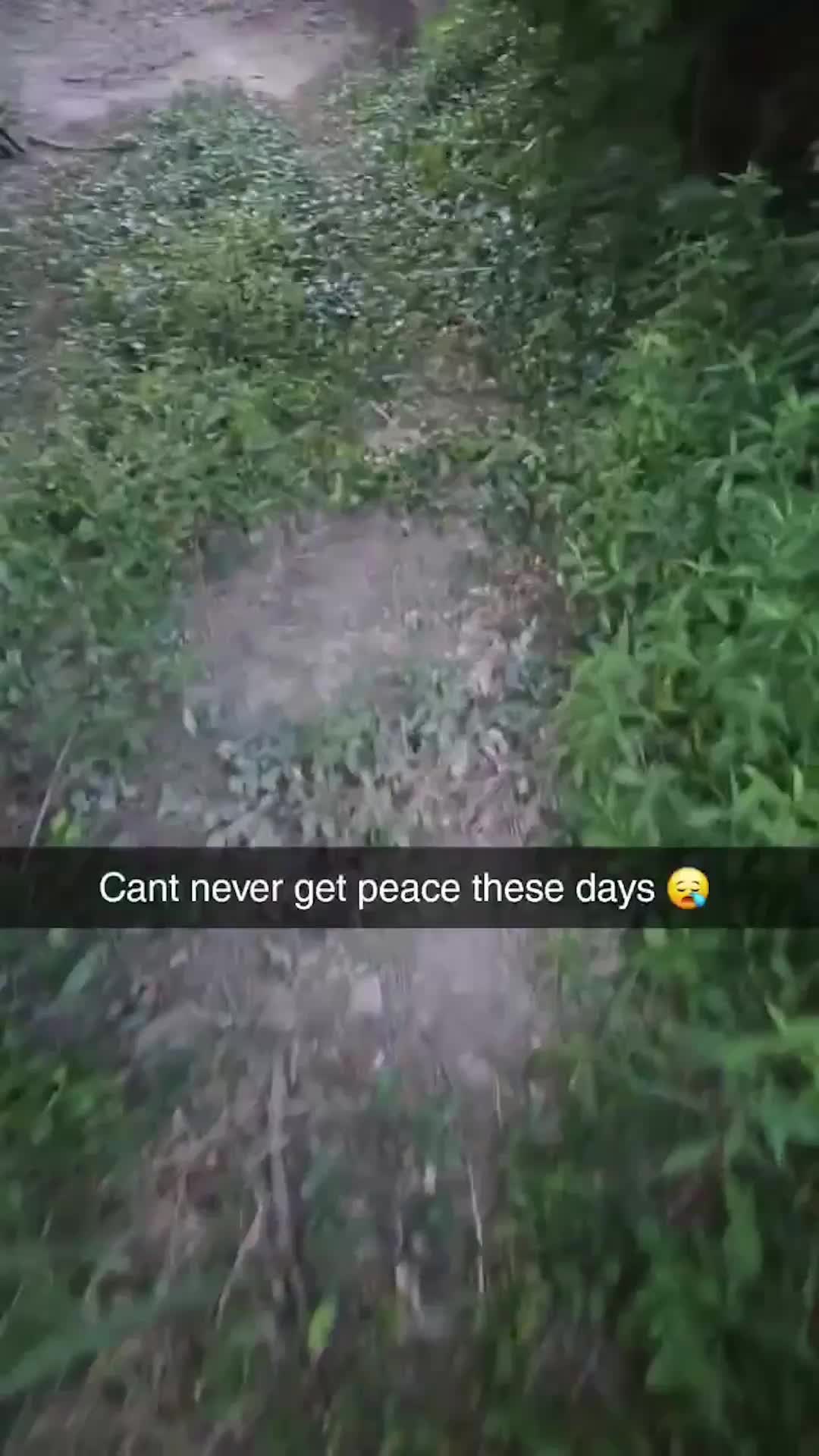 @Coleman Lane
