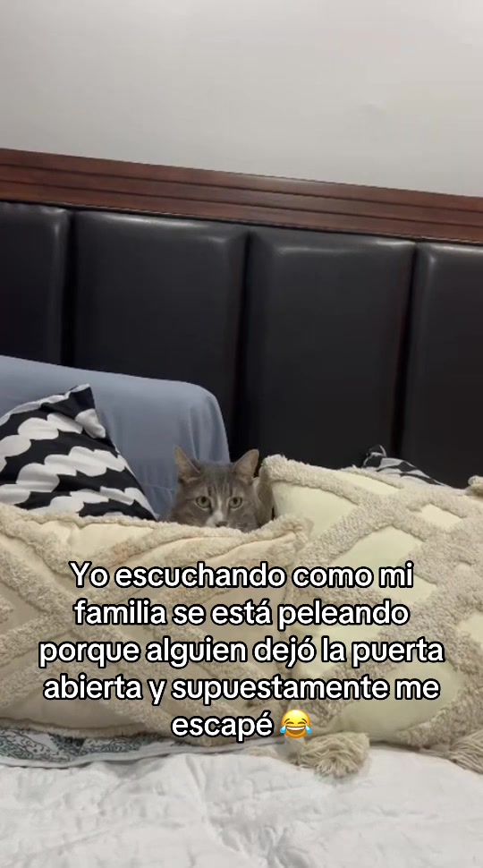 @michimatiass