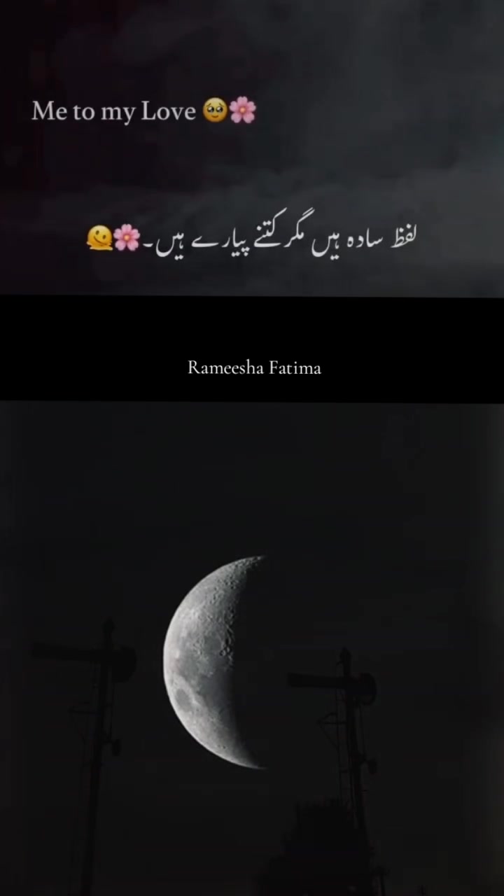 @Rameesha Fatima