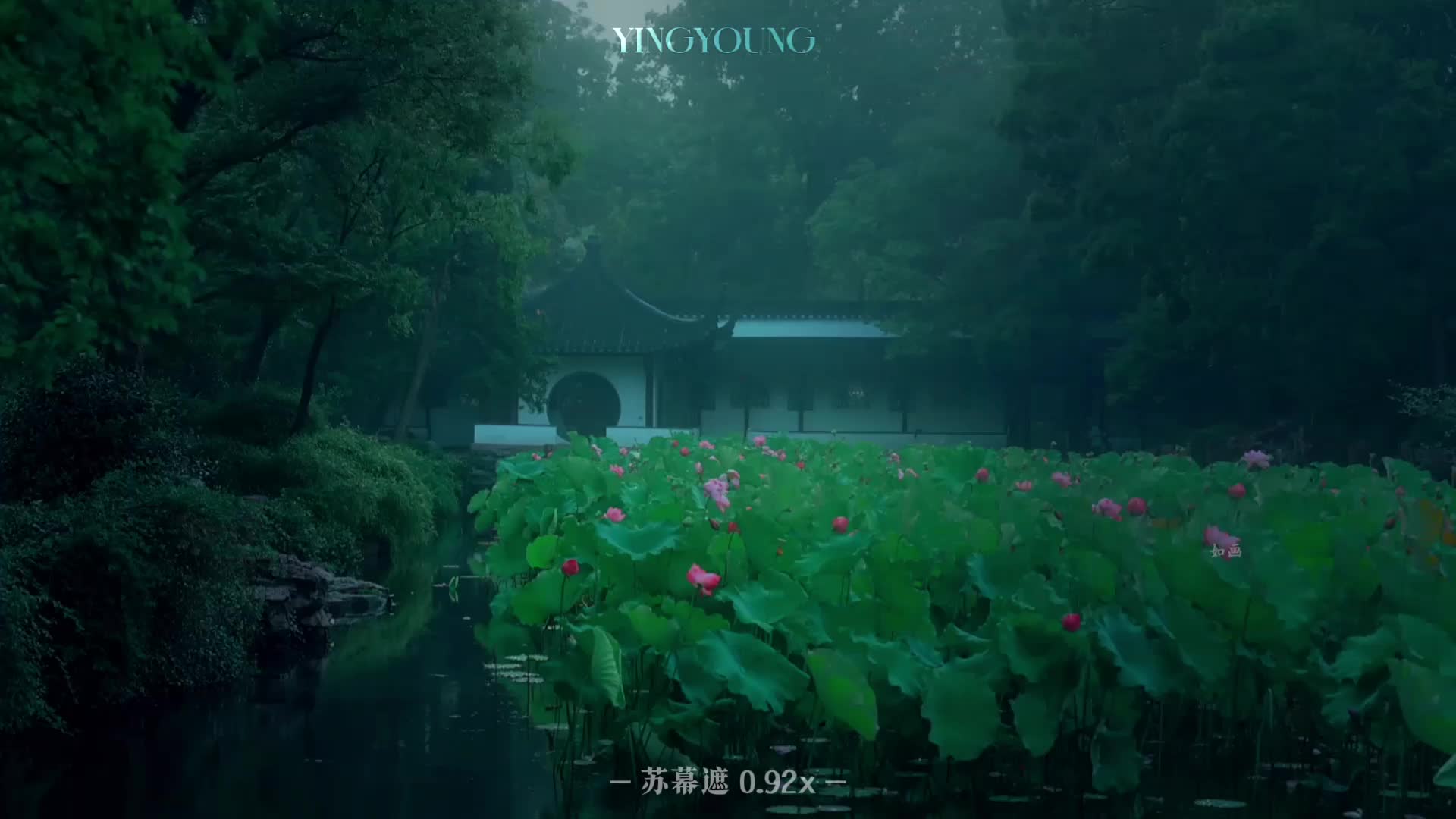 @𝗬𝗶𝗻𝗴𝗬𝗼𝘂𝗻𝗴