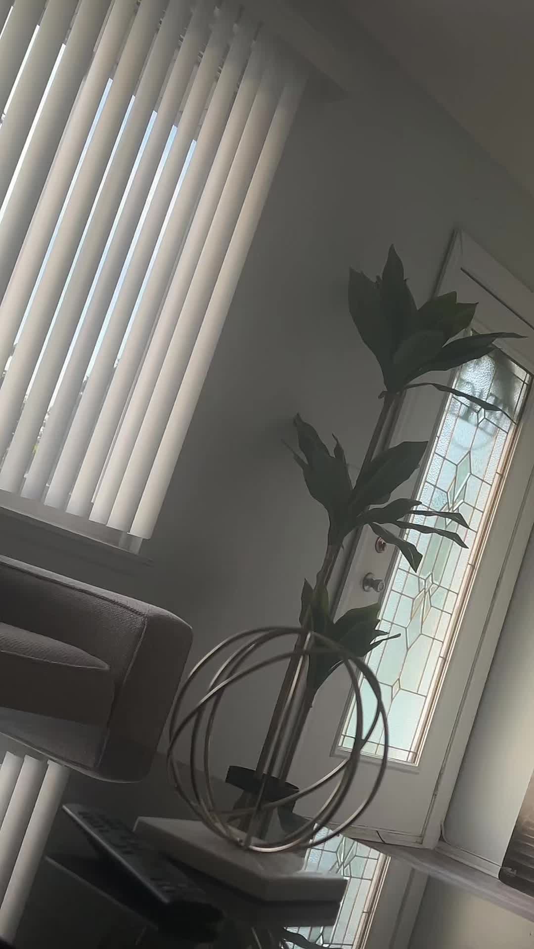 @Banoo✨🪻