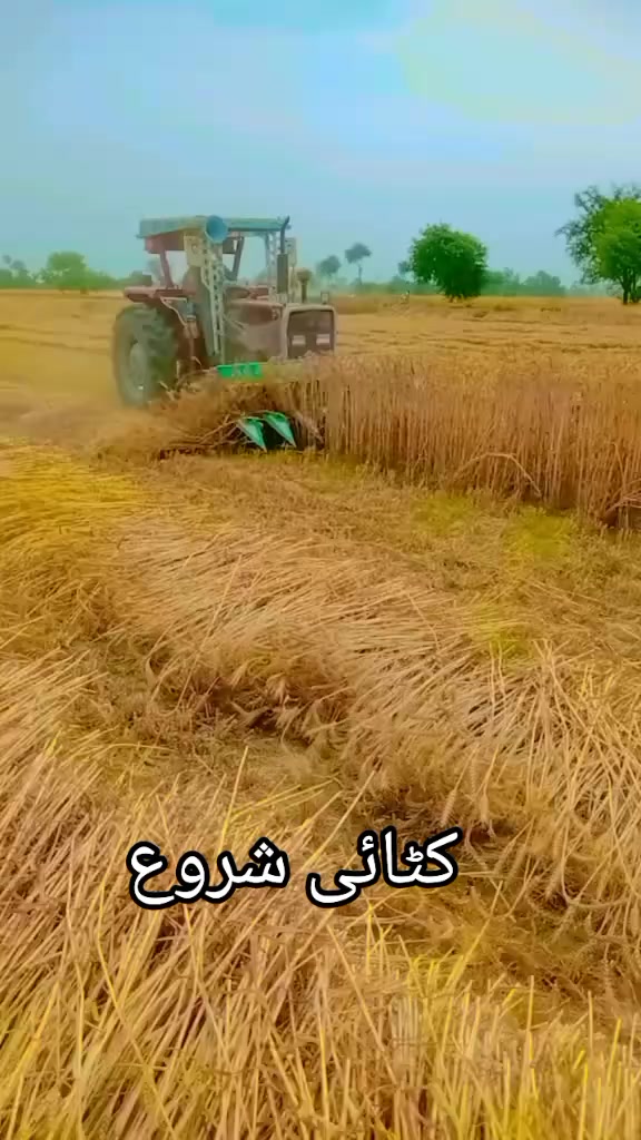 @CH Rizwan 5566