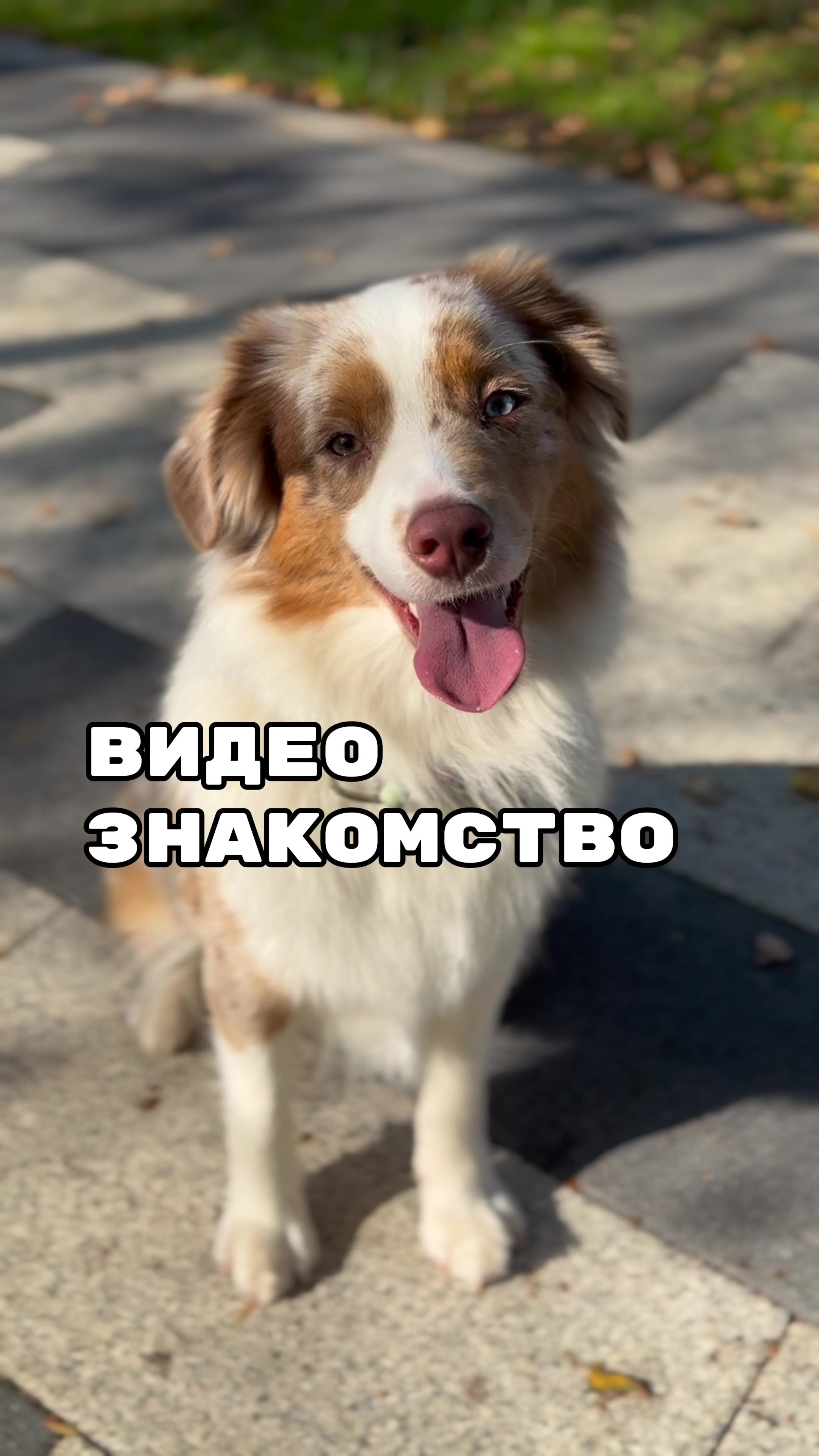 @𝚃𝚠𝚒𝚡