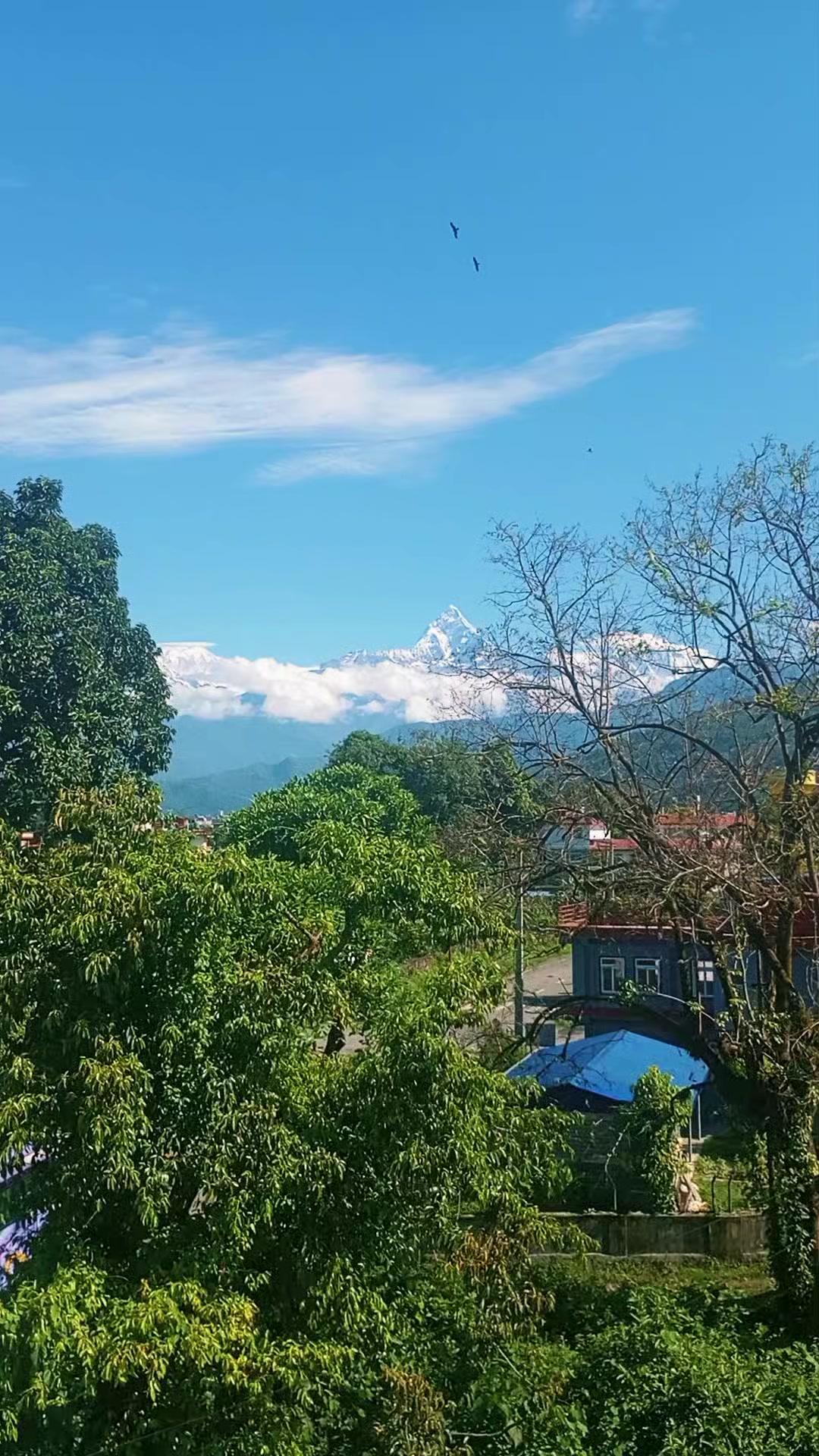 @सन्यासी 🔥