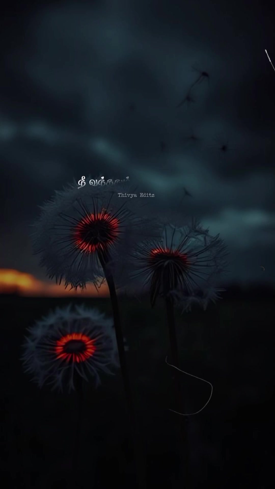 @𝐓𝐡𝐢𝐯𝐲𝐚 𝐄𝐝𝐢𝐭𝐳
