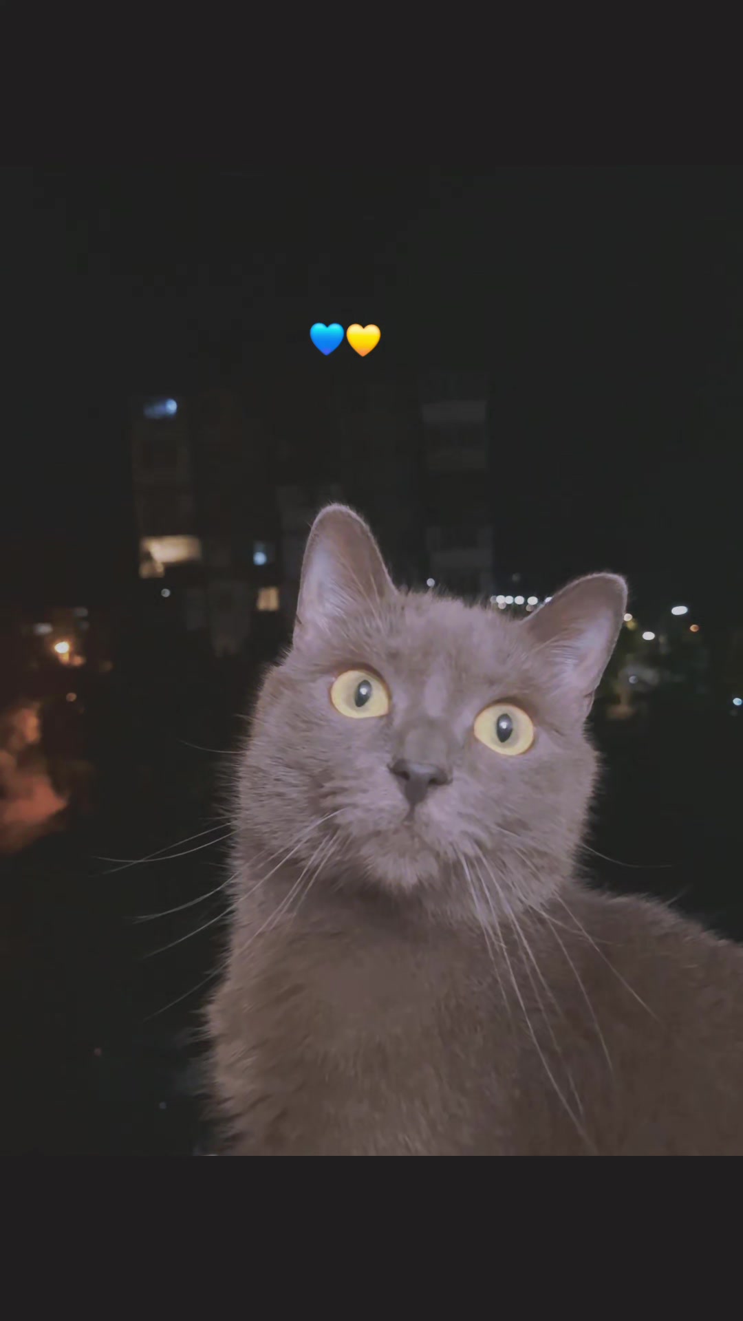 @ПсиХіатР АнаНасіВ ГраНата