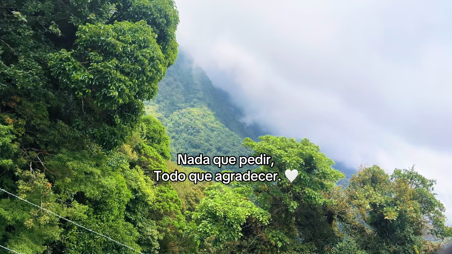 @Valery Rodríguez B