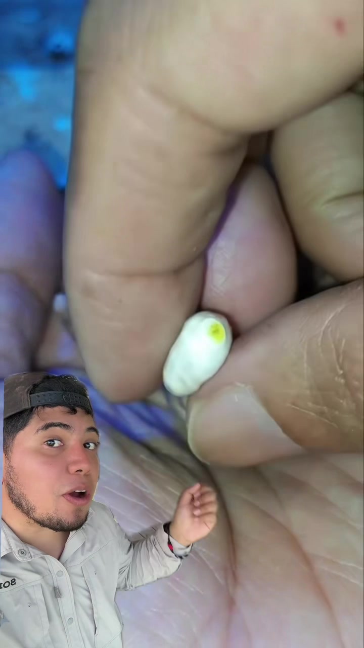 @Soy Sebassalvaje (d&uacute;os)