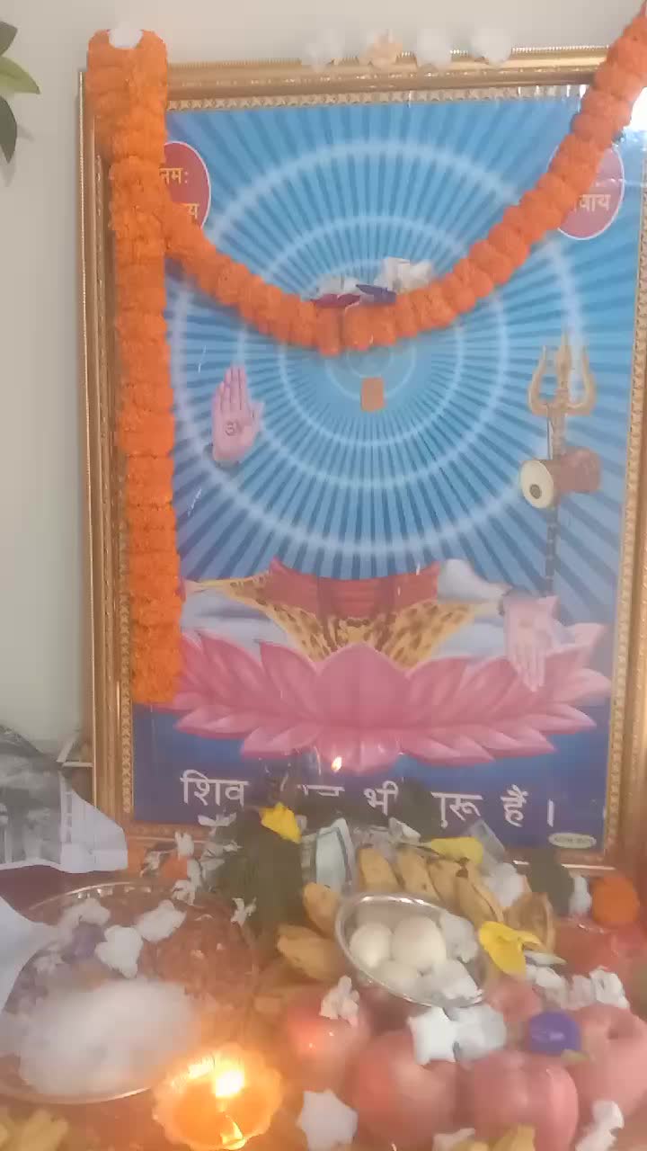 @Shobha Dev