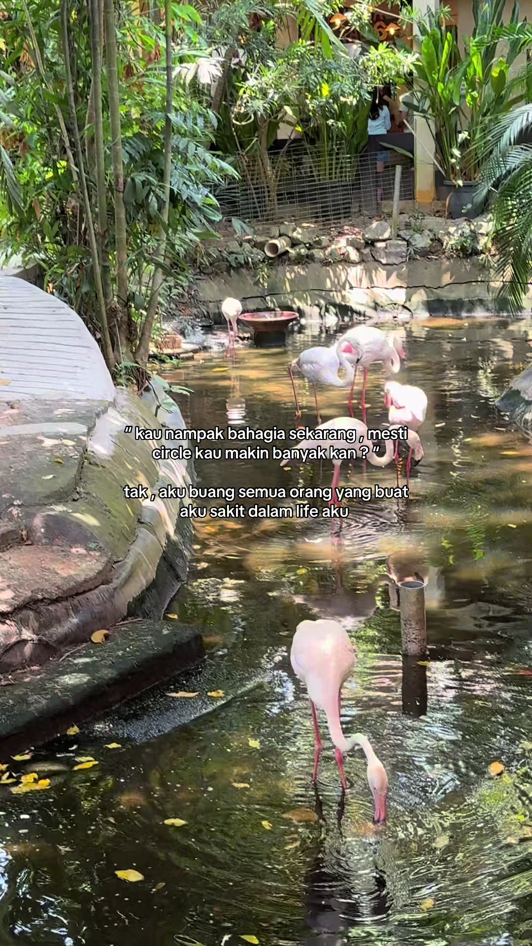 @ห เฃช ‹ ๐๐ค๐ฃ๐๐ฎ๐๐๐ ๐ฅ เฃช แฅซแญก