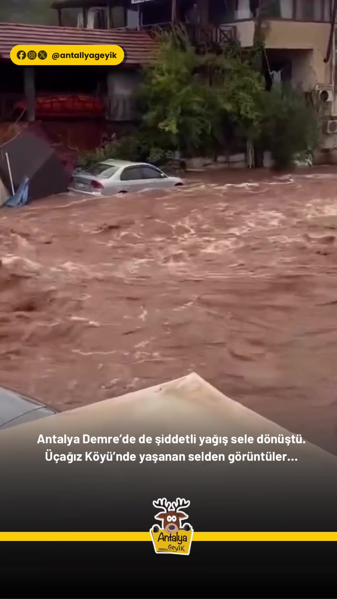@Muğla Geyik