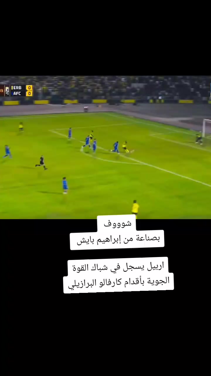 @ملعب البصرة جذع نخلة
